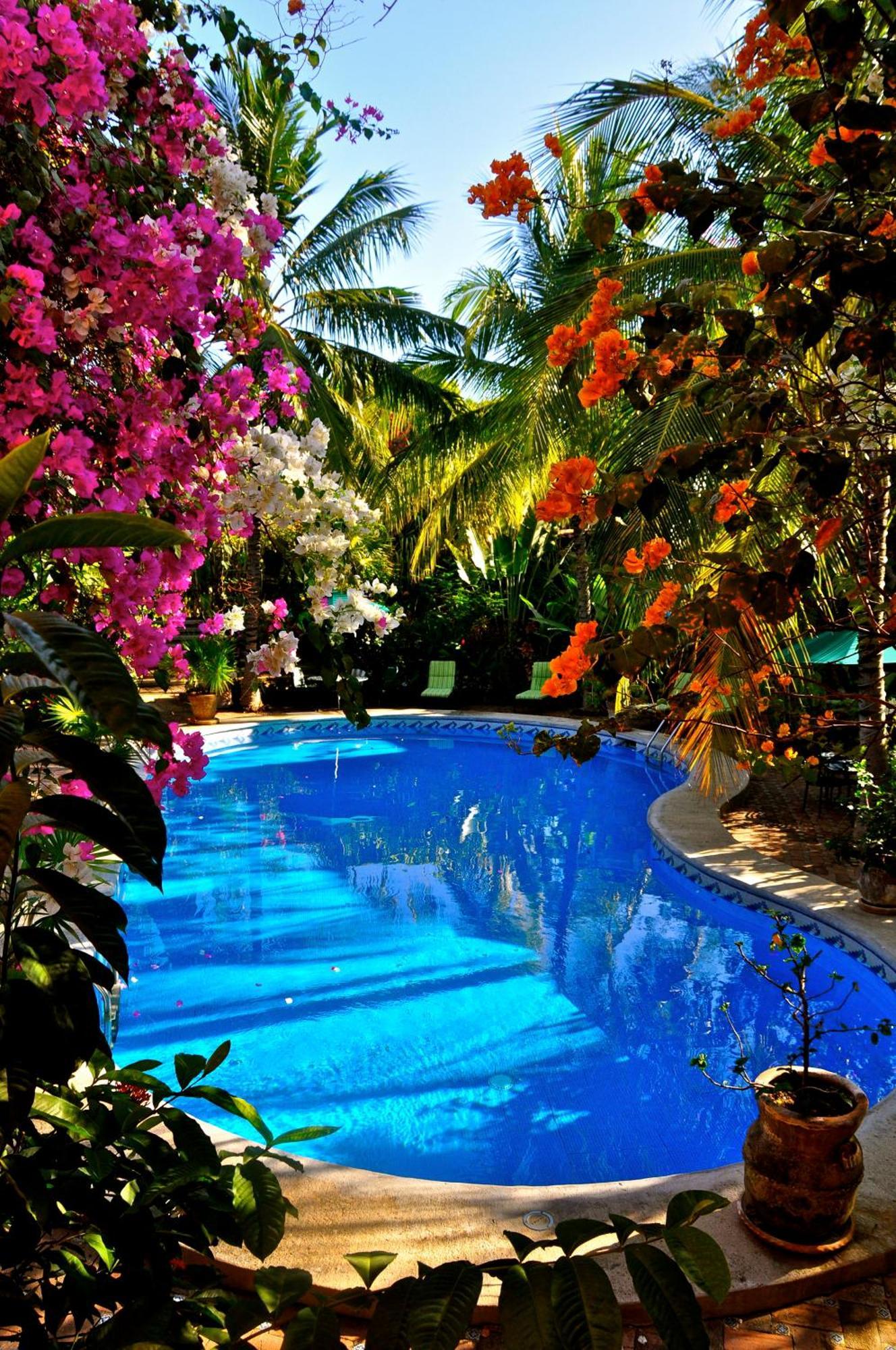 Suites La Hacienda Puerto Escondido  Exterior foto